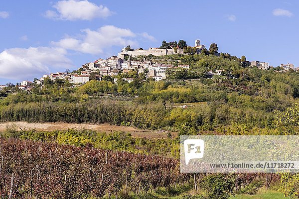 Ortsansicht mit Weinbergen Motovun Istrien Kroatien Europa