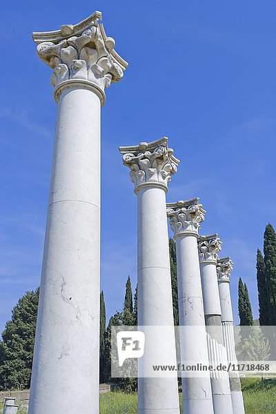 Säulen  Apollo-Tempel  Asklepienon  Kos  Dodekanes-Inseln  Griechenland  Europa