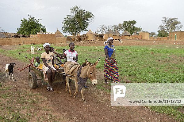 Familie mit Eselskarren Tinkoaguelga Gomponsom Provinz Passoré Region Nord Burkina Faso Afrika