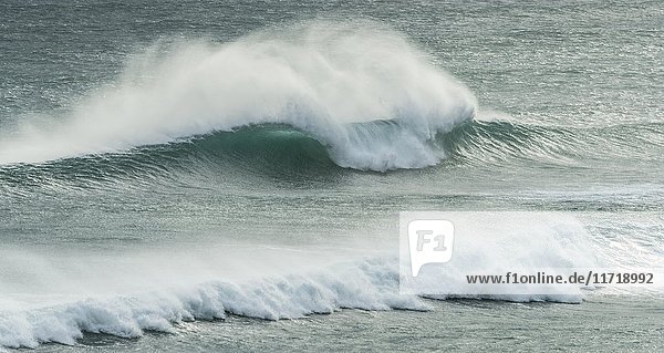 Starker Wellengang  Wellen brechen auf dem Meer  Sandfly Bay  Dunedin  Region Otago  Otago-Halbinsel  Südland  Neuseeland  Ozeanien