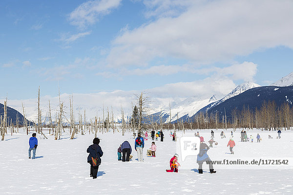 Children and parents hunt for easter eggs in the snow at the Alaska Wildlife Conservation Center  Southcentral Alaska  USA