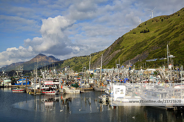 Panoramablick auf den Hafen von St. Paul  Kodiak Island  Süd-Zentral-Alaska  USA