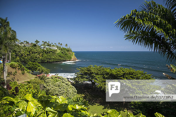 Honoli'i Bay  Surfen bei Hilo; Insel Hawaii  Hawaii  Vereinigte Staaten von Amerika'.