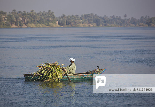 Mann rudert mit Zuckerrohr an Bord seines Bootes auf dem Nil; Ägypten'.