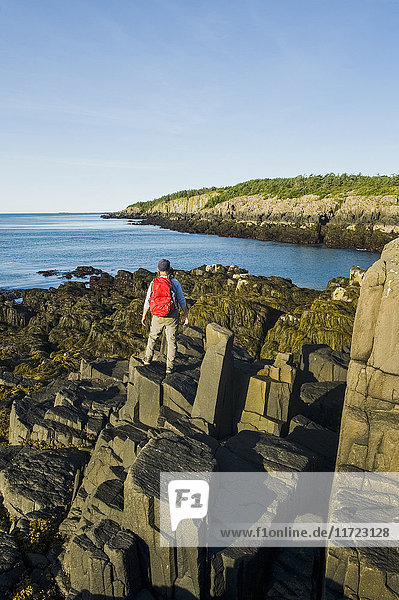 'Hiker along basalt rock cliffs Bay of Fundy; Brier Island Nova Scotia Canada'