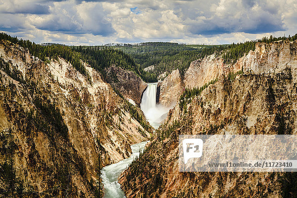 Grand Canyon und Lower Yellowstone Falls  Yellowstone National Park; Wyoming  Vereinigte Staaten von Amerika'.