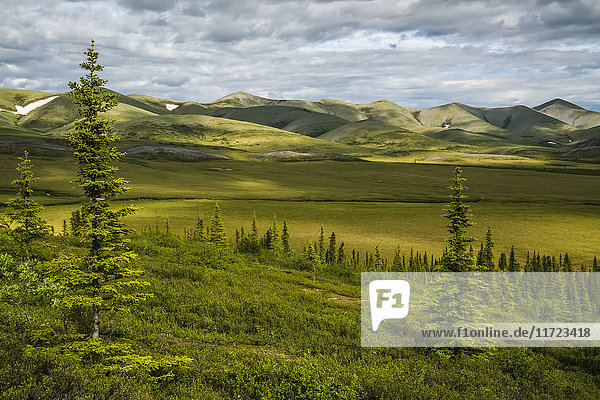 'The Richardson Mountains at the Arctic Circle; Yukon Canada'