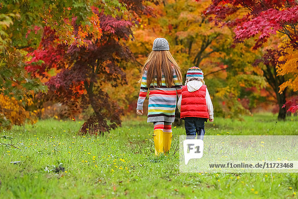 'A young boy and girl wearing rubber boots and colourful clothing walk across a field towards trees in bright autumn colours; Oregon  United States of America'