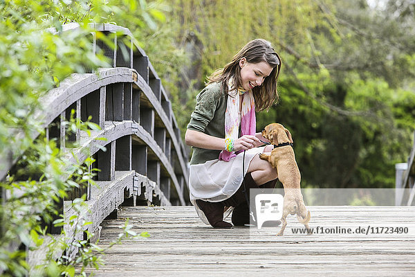 'A young woman on a wooden bridge with her small dog; Washington  United States of America'