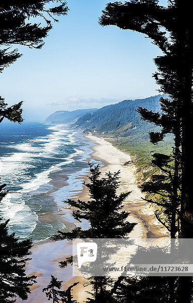 Oregon-Küste mit Blick von Heceta Head nach Hobbit Beach; Oregon  Vereinigte Staaten von Amerika'.