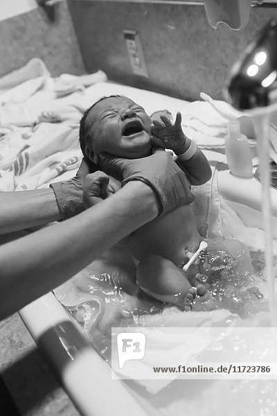 'A nurse gives a newborn baby it's first bath; Oregon  United States of America'