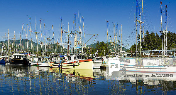 Segelboote vor Anker im ruhigen Wasser des Hafens von Ucluelet; Ucluelet  British Columbia  Kanada'.