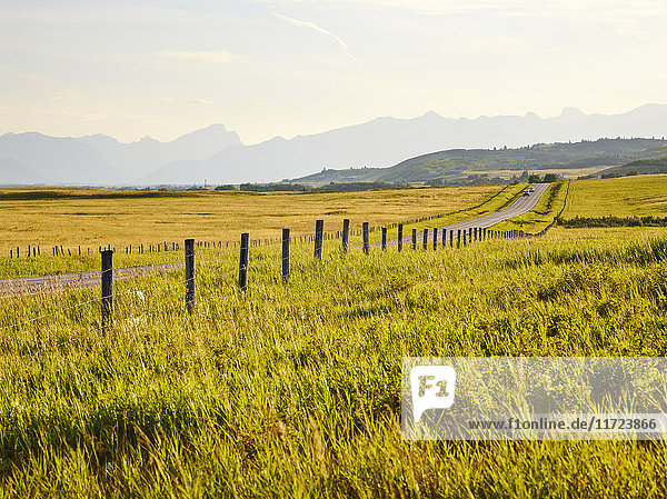Eine Landstraße zwischen grünen Feldern und einer Silhouette von Bergen in der Ferne; Cochrane  Alberta  Kanada'.