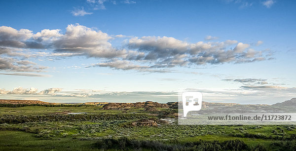 'Landscape of green foliage and brown hills under a blue sky with cloud; Herschel  Saskatchewan  Canada'