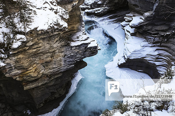 Athabasca-Wasserfälle im Winter  Jasper National Park; Alberta  Kanada'.