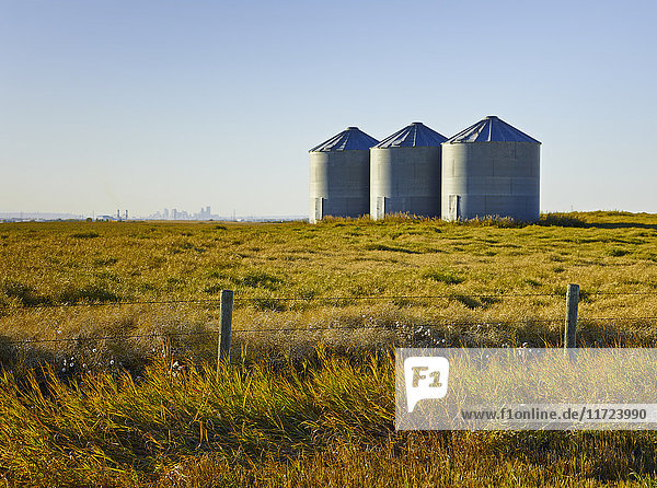 Drei Metallsilos auf einem Farmfeld; Alberta  Kanada