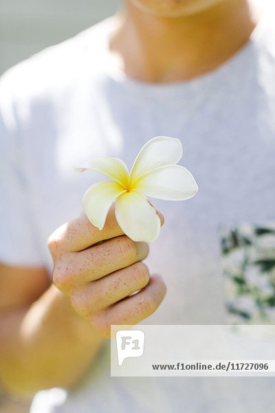 Junger Mann mit Plumeria-Blume in der Hand