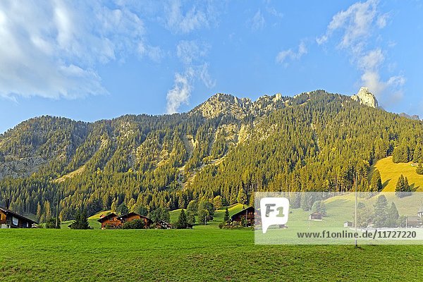 Schweizer Alpen,  L'Etivaz,  Kanton Waadt,  Schweiz,  Europa