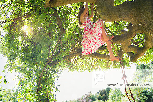 Mädchen im Sonnenkleid klettert auf Baum