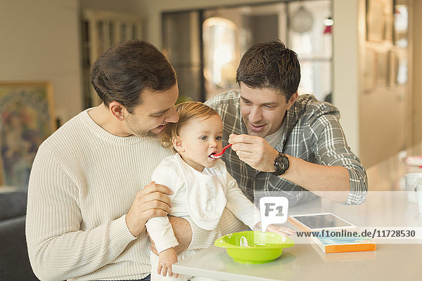 Male gay parents feeding baby son in kitchen
