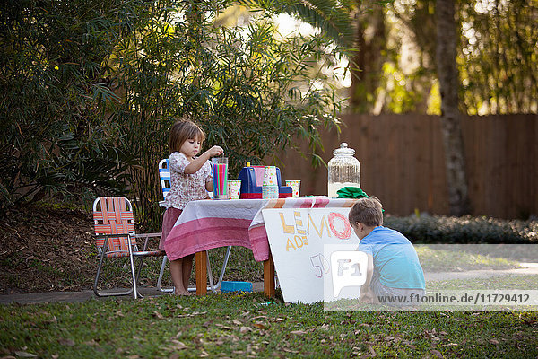Boy and sister preparing lemonade stand sign in garden