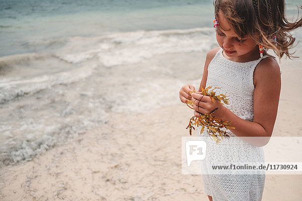 Mädchen spielt mit trockenem Seegras am Strand  Cancun  Mexiko