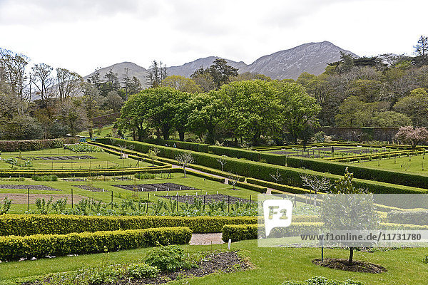 Viktorianischer ummauerter Garten  Kylemore Abbey  Connemara  Grafschaft Galway  Irland  Europa