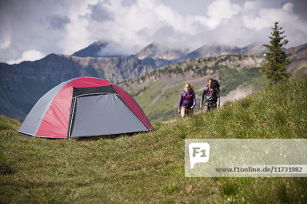 Camping near Paradise Divide in the West Elk Mountains  Crested Butte  Colorado  USA