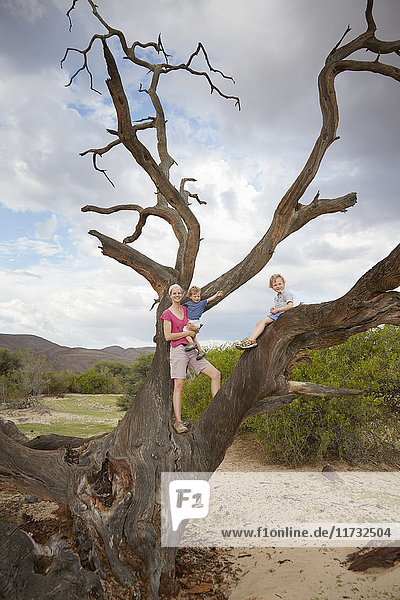 Portrait of mother and sons  standing on dead tree  Purros  Kaokoland  Namibia