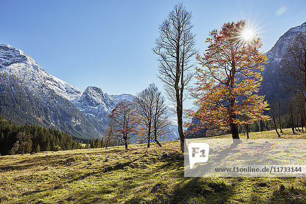 Sonnenreiche Landschaft mit weit entfernten schneebedeckten Bergen  Hinterriss  Tirol  Österreich