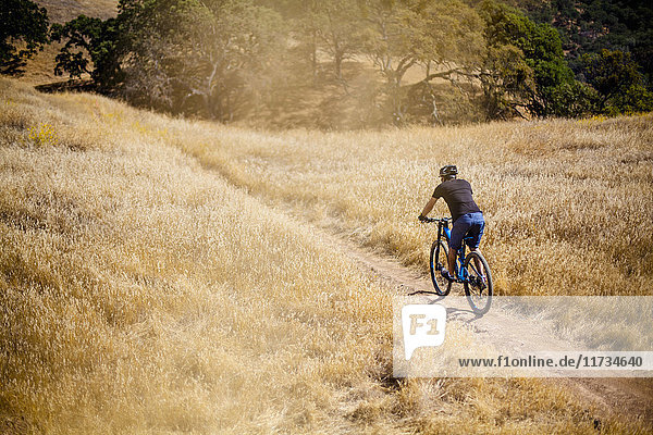 Elevated rear view of young man mountain biking on dirt track  Mount Diablo  Bay Area  California  USA