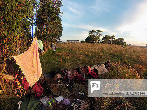 Camping equipment in field  Uruguay