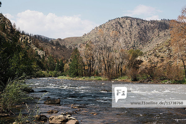 Poudre River Colorado