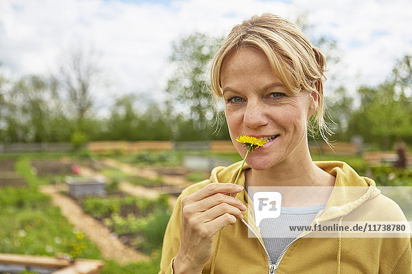 Portrait of mature woman outdoors  gardening  tasting flower