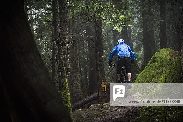 Rear view of male mountain biker riding through forest