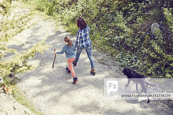 Mutter und Tochter beim Waldspaziergang  Hand in Hand  Hund läuft hinterher  Rückansicht
