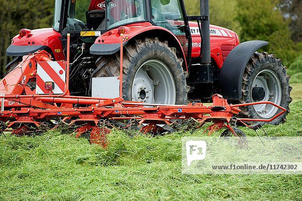 Massey Ferguson tractor with a grass tedder working in newly mown grass. Cumbria  UK. (Photo by: Wayne Hutchinson/Farm Images/UIG)
