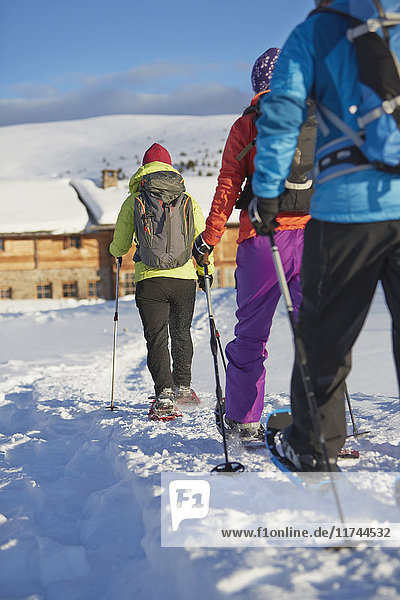 Rückansicht von drei mittleren erwachsenen Freunden beim Schneeschuhwandern in den Dolomiten  Eisacktal  Südtirol  Italien