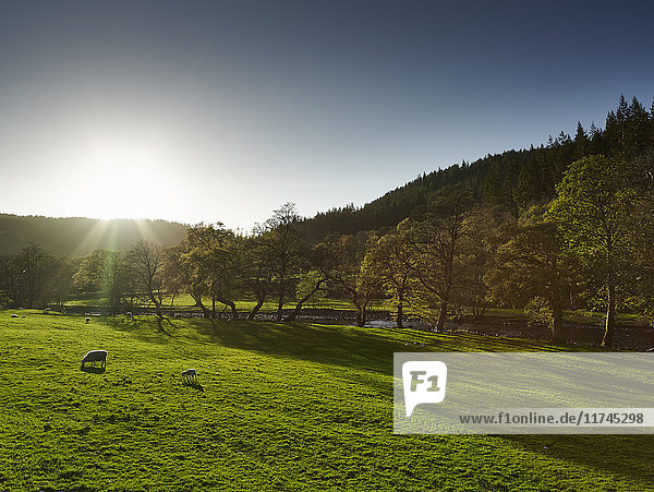 Landschaft  Betws-y-coed  Snowdonia  Wales