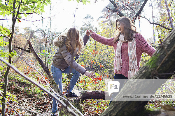 Teenager-Mädchen im Wald hilft Frind lächelnd beim Klettern auf umgefallenen Baumstamm