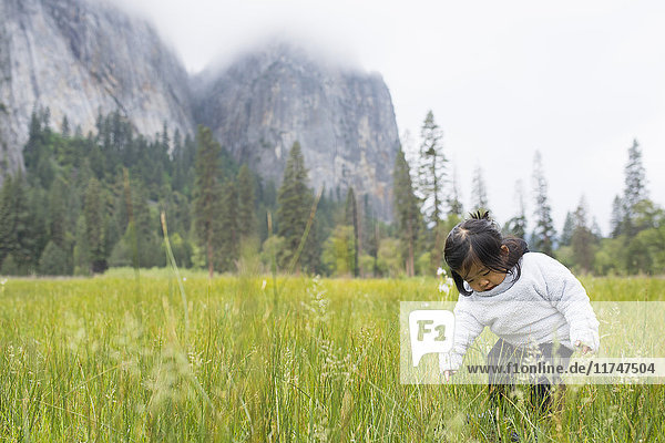 Weibliches Kleinkind kauert auf einer Wiese  Yosemite National Park  Kalifornien  USA