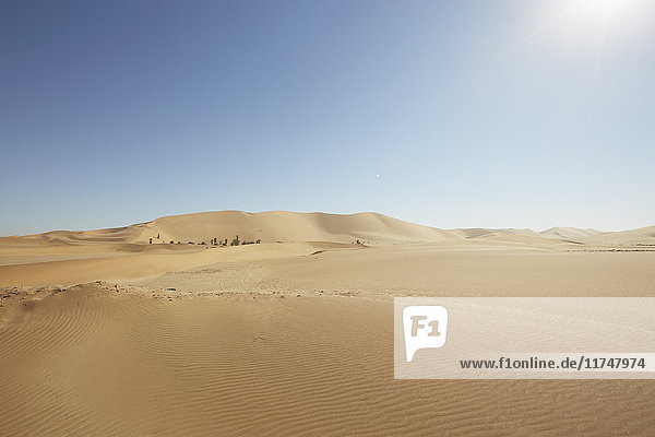 Dune 7 by day  Namib-Naukluft National Park  Africa