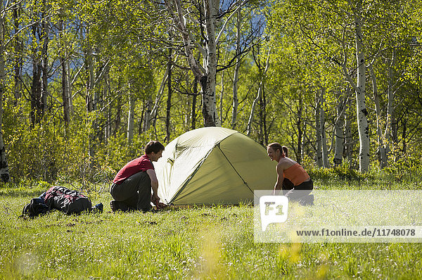 Setting up camp on backpacking trip  Uinta National Forest  Wasatch Mountains  Utah  USA