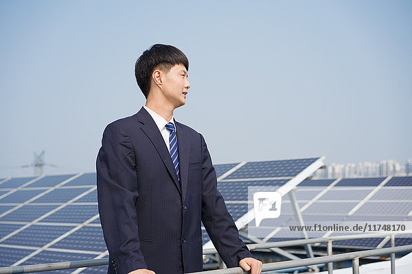 Businessman on roof of solar panel assembly factory  Solar Valley  Dezhou  China