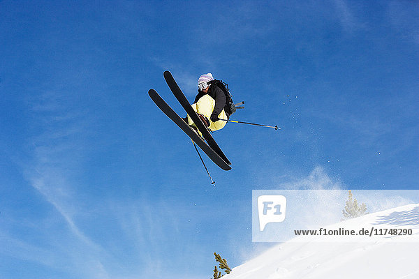 Männlicher Skifahrer springt in der Luft am Berg