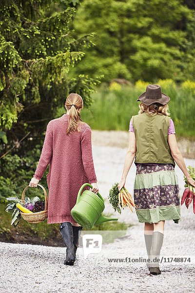 Rückansicht von zwei Frauen  die Gemüse tragen