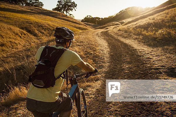 Rückansicht eines jungen Mannes beim Mountainbiken auf einem Feldweg  Mount Diablo  Bay Area  Kalifornien  USA