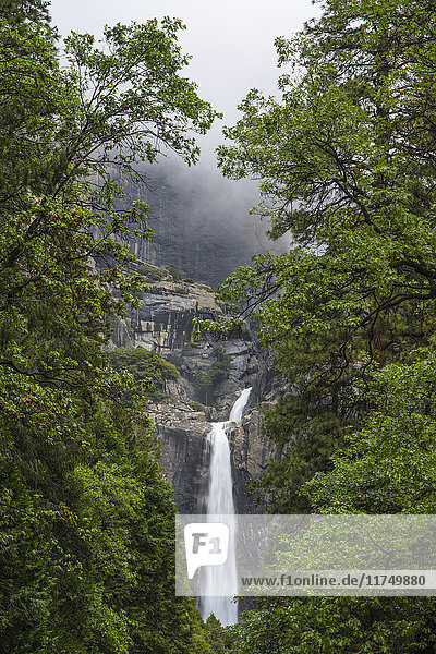 Blick auf Wasserfall und Bäume  Yosemite National Park  Kalifornien  USA