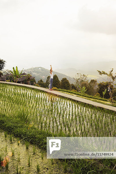 Frau am Rande von Reisfeldern  Gobleg  Bali  Indonesien