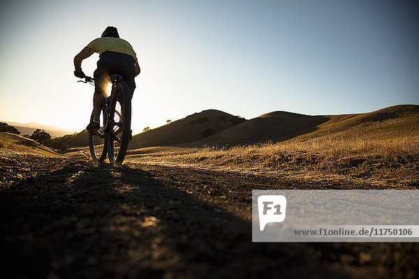 Silhouetted surface view of young man mountain biking up dirt track  Mount Diablo  Bay Area  California  USA